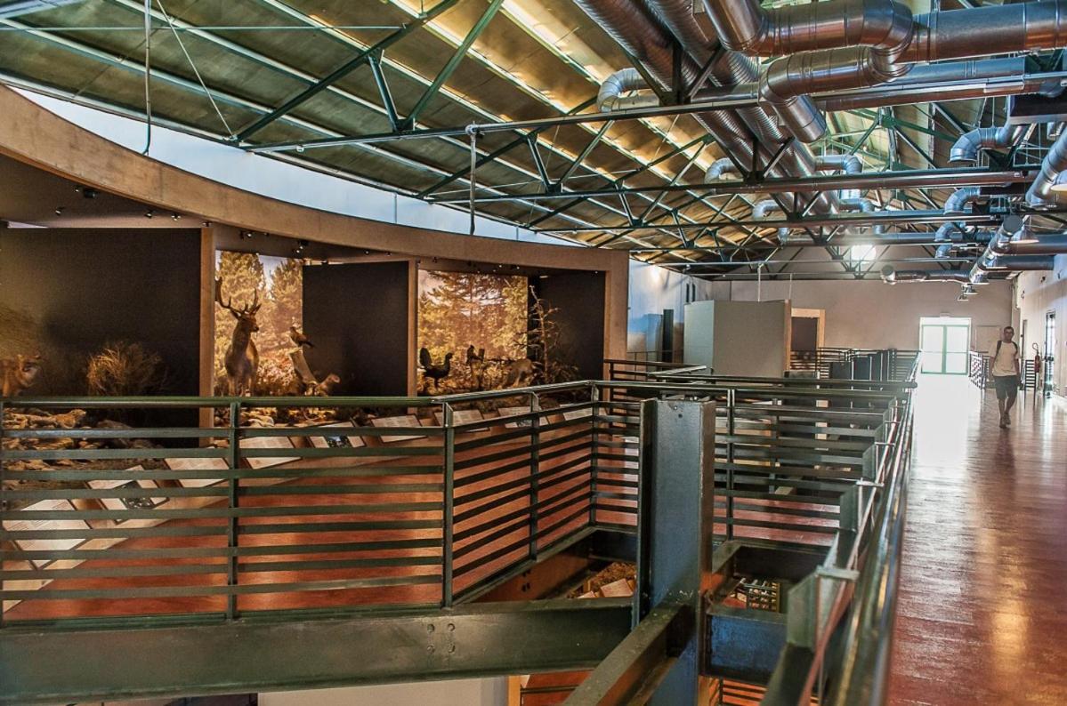 The Fifty Condo Ηράκλειο Κρήτης Εξωτερικό φωτογραφία